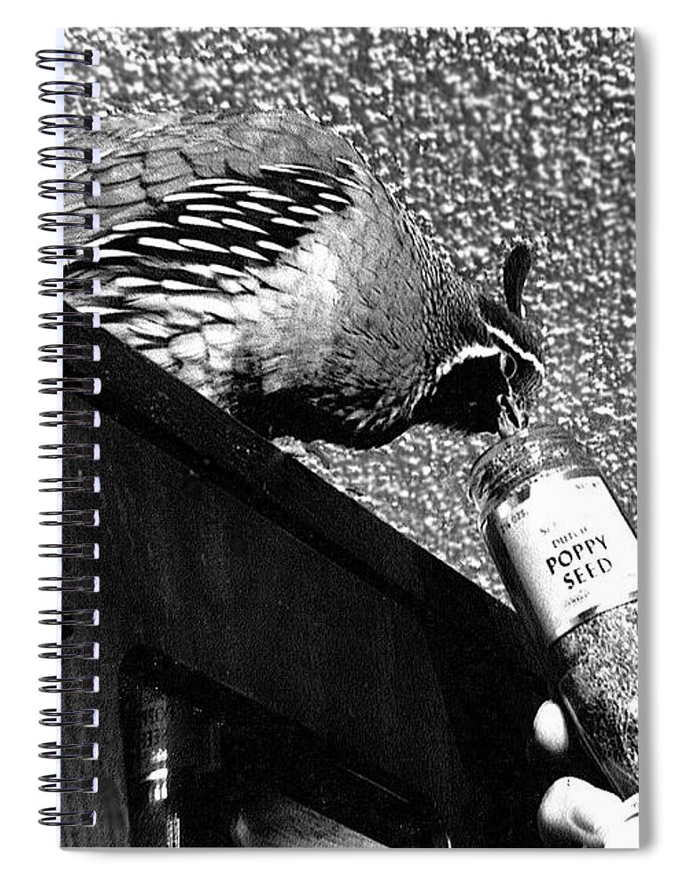 Nature Spiral Notebook featuring the photograph 06_Peep became so dedicated by Christopher Plummer