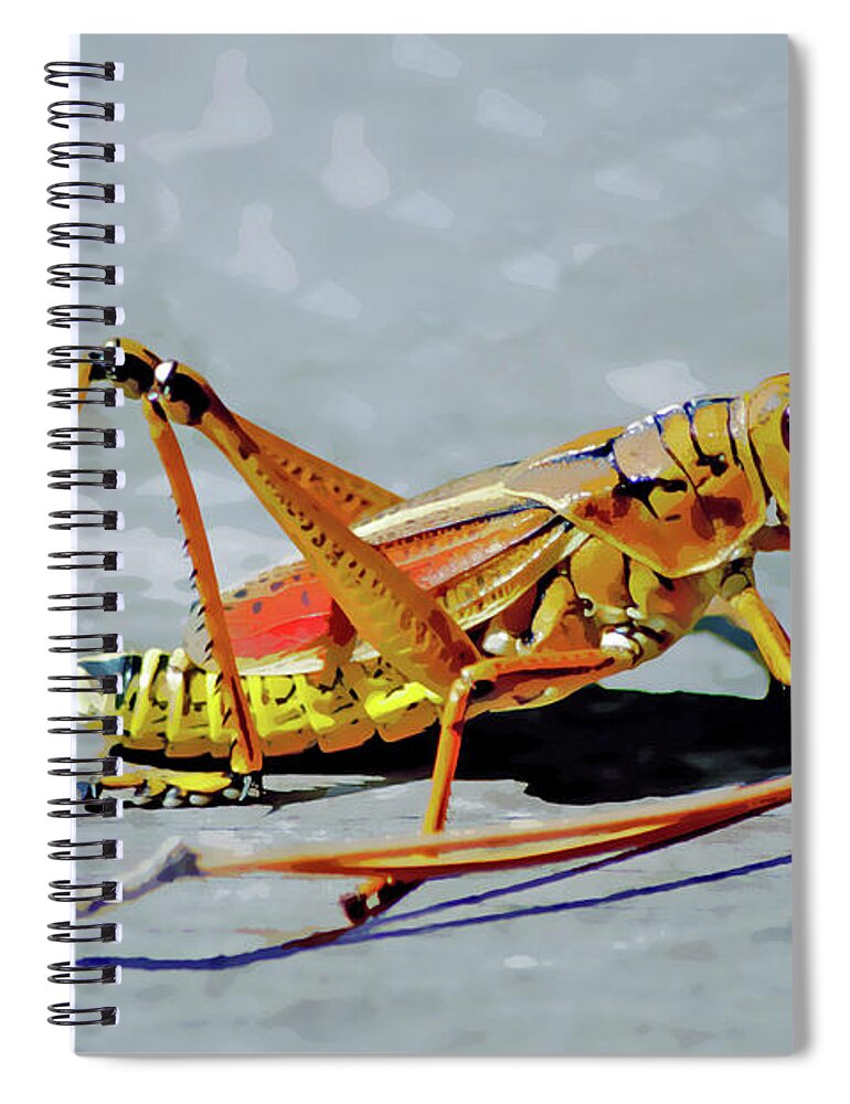 Lubber Grasshopper Spiral Notebook featuring the digital art 15- Lubber Grasshopper by Joseph Keane