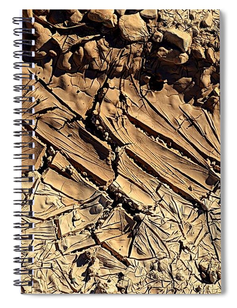 Nature Spiral Notebook featuring the photograph Abstract 3 #1 by Diane montana Jansson