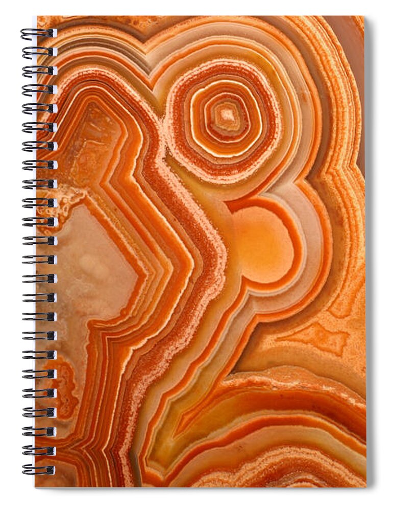 Agate Spiral Notebook featuring the photograph Agate #1 by Ted Kinsman