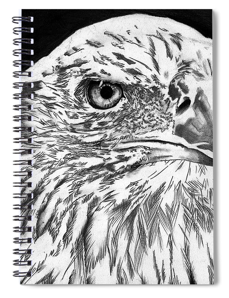 Bald Spiral Notebook featuring the drawing American Bald Eagle #1 by Bill Richards
