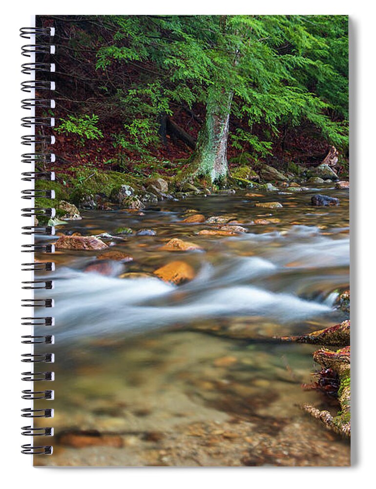 Coxing Kill Spiral Notebook featuring the photograph April Morning at Coxing Kill 2018 II #2 by Jeff Severson