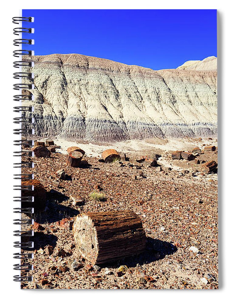 Arizona Spiral Notebook featuring the photograph Arizona Petrified Forest #1 by Raul Rodriguez