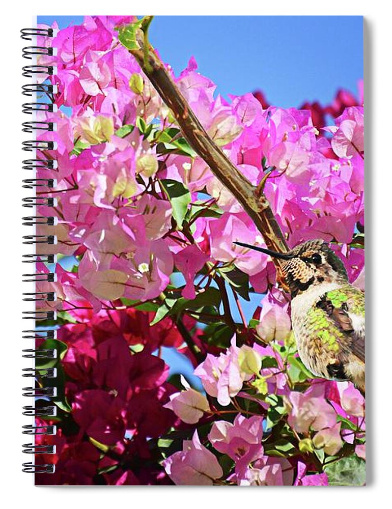 Gardens Spiral Notebook featuring the photograph At Home in the Bougainvillea by Lynn Bauer
