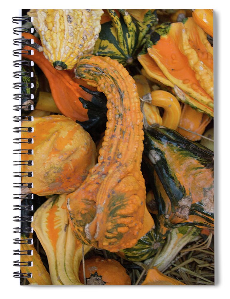 Gourd Spiral Notebook featuring the photograph Autumn Gourds #1 by Pamela Williams