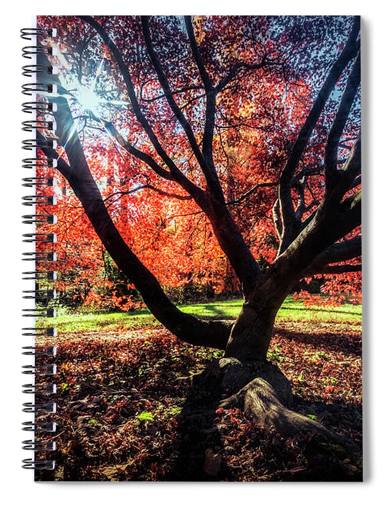 Washington D.c. Spiral Notebook featuring the photograph Autumn In The Nations Capital #1 by Robert Fawcett