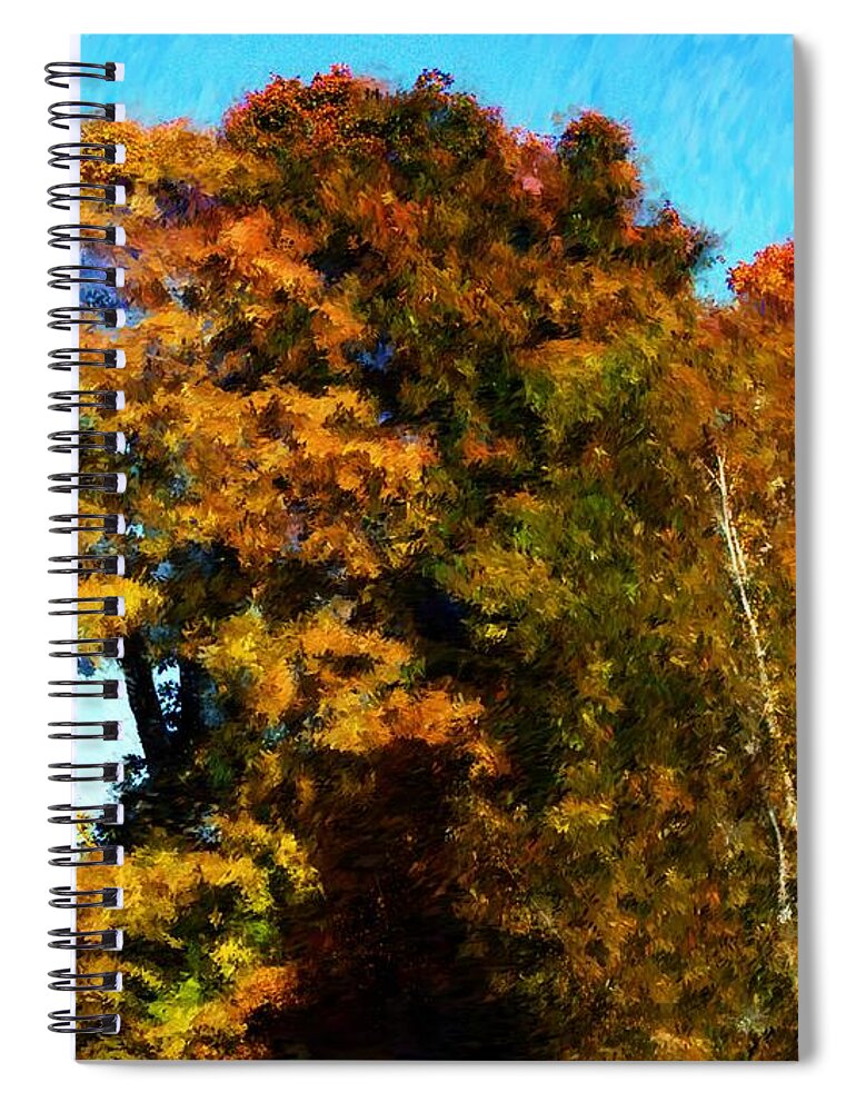 Digital Photography Spiral Notebook featuring the photograph Autumn Leaves #1 by David Lane