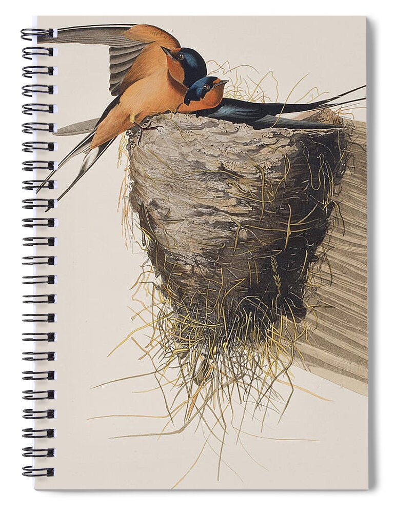 Barn Swallow Spiral Notebook featuring the painting Barn Swallow by John James Audubon