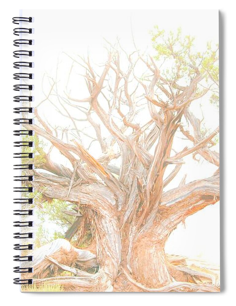 Arches National Park Spiral Notebook featuring the photograph Been Around by Merle Grenz