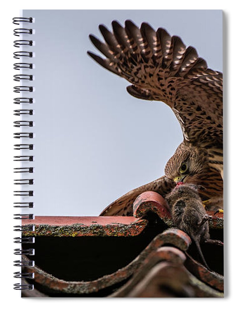 Big Meal Spiral Notebook featuring the photograph Big Meal #1 by Torbjorn Swenelius