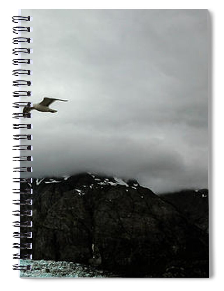 Alaska Spiral Notebook featuring the photograph Bird Over Glacier - Alaska #2 by Madeline Ellis