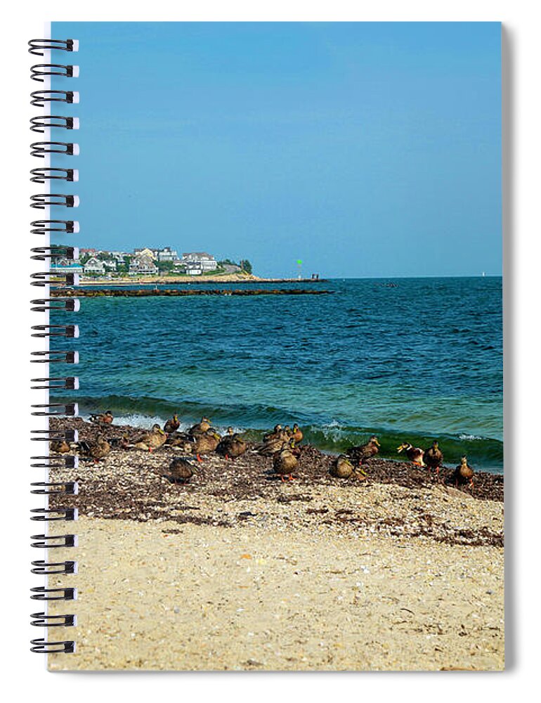 Falmouth Spiral Notebook featuring the photograph Birds on the Beach #1 by Madeline Ellis