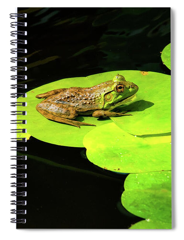 Cornish Spiral Notebook featuring the photograph Blending In #1 by Greg Fortier
