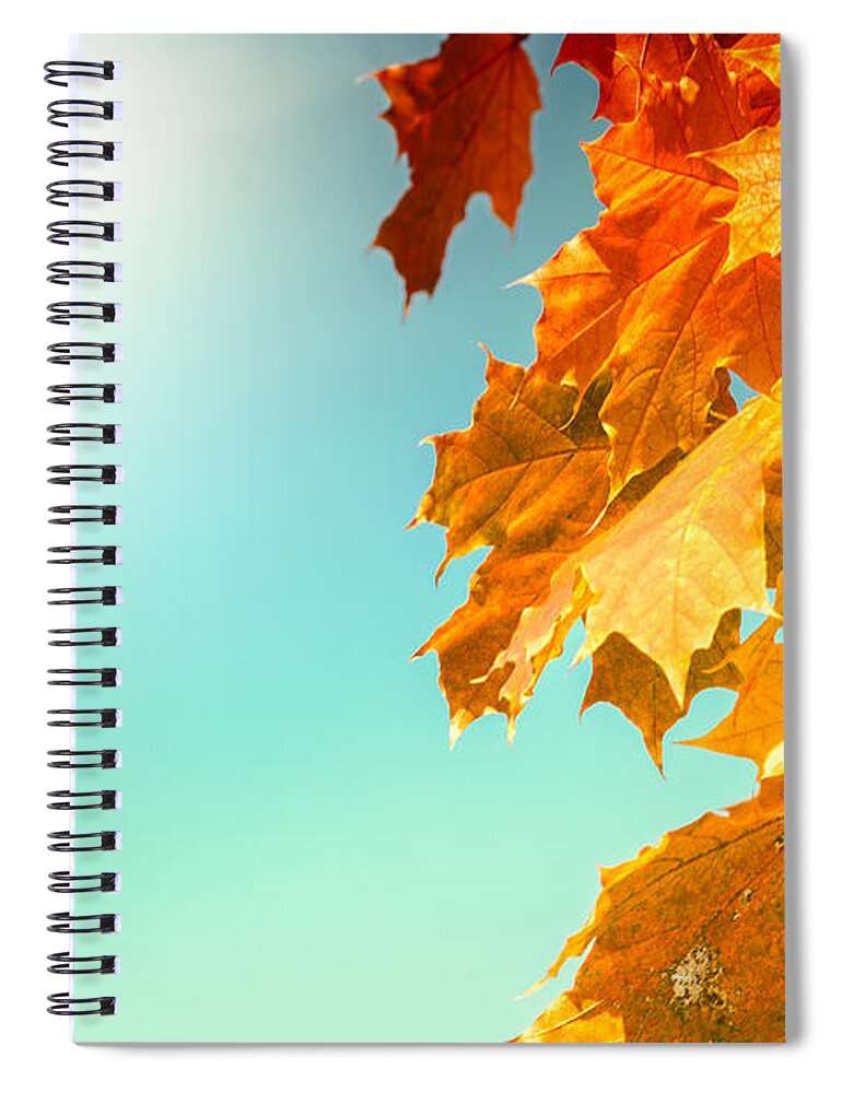 Autumn Spiral Notebook featuring the photograph Yellow Autumn White Sun by John Williams