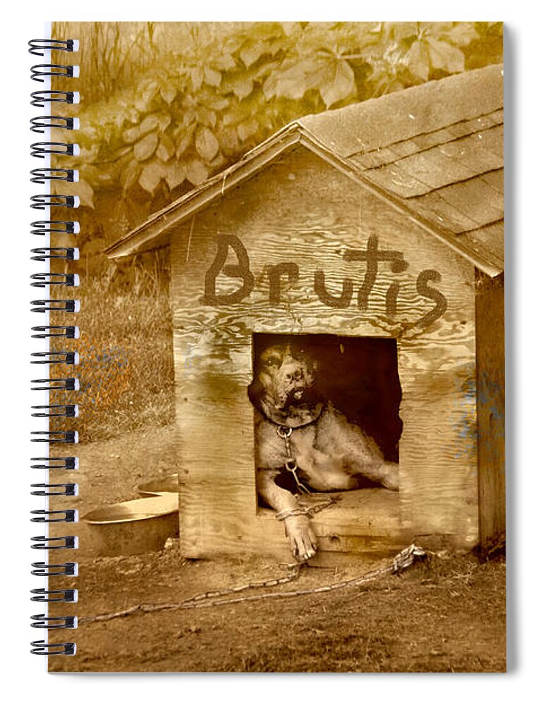 Dog Spiral Notebook featuring the photograph Brutis #1 by David Yocum