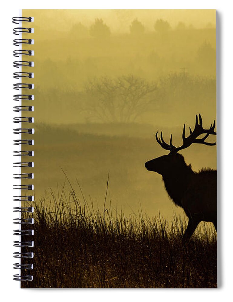 Jay Stockhaus Spiral Notebook featuring the photograph Bull Elk #1 by Jay Stockhaus