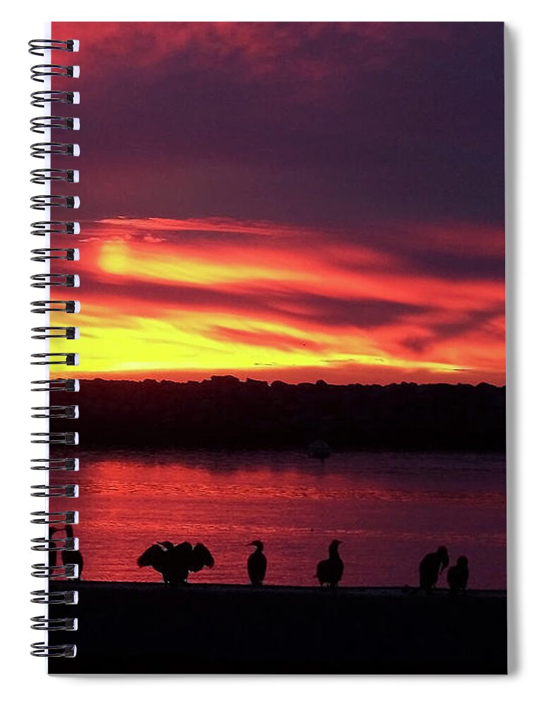 California Dreaming Spiral Notebook featuring the photograph California Dreaming by Jennifer Robin