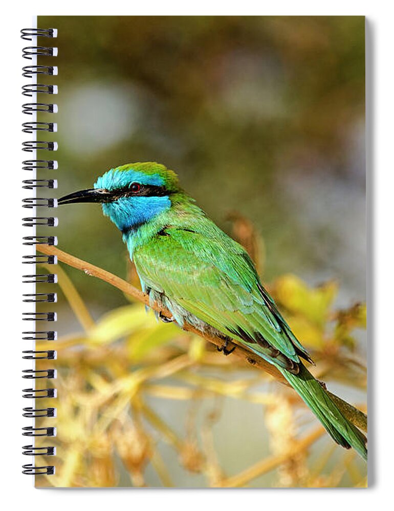 Bird Spiral Notebook featuring the photograph Colors of nature #1 by Arik Baltinester