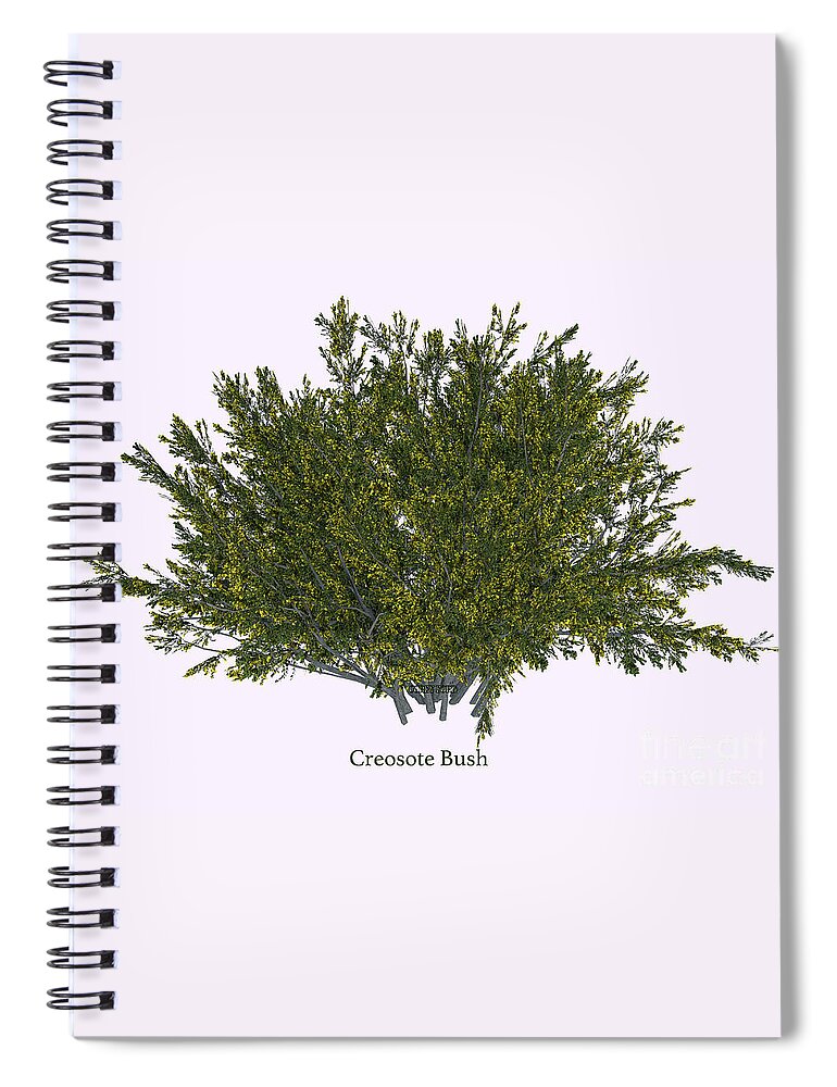 3d Illustration Spiral Notebook featuring the digital art Creosote Bush #2 by Corey Ford