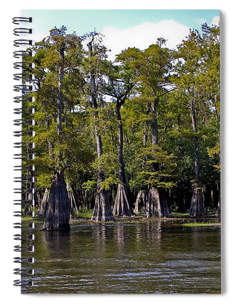 Cypress Spiral Notebook featuring the photograph Cypress on the Suwannee by Farol Tomson