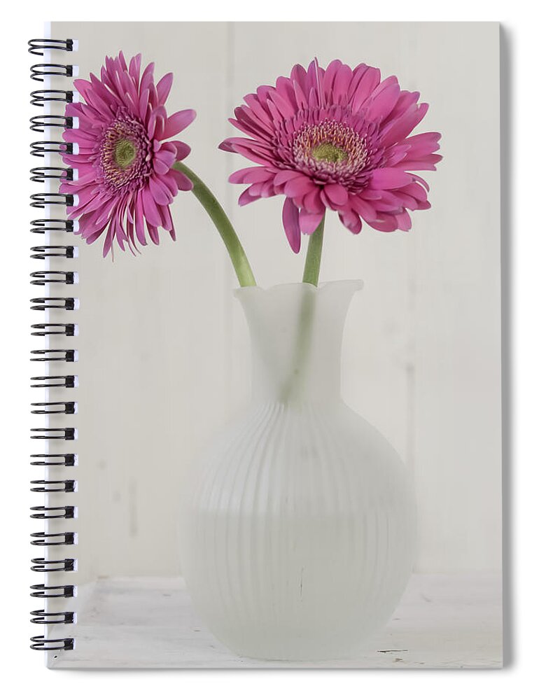 Pink Flower Spiral Notebook featuring the photograph Gerbera Daisy Love by Kim Hojnacki