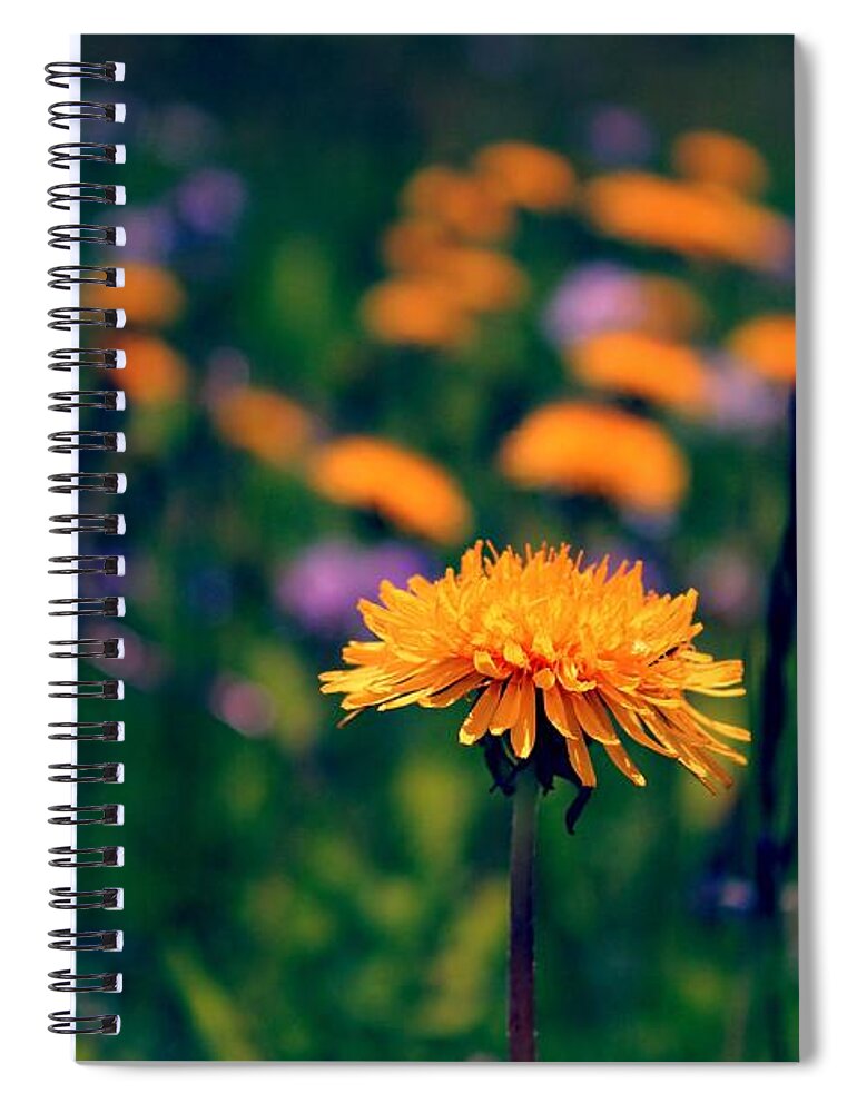 Dandelion Spiral Notebook featuring the digital art Dandelion #1 by Maye Loeser