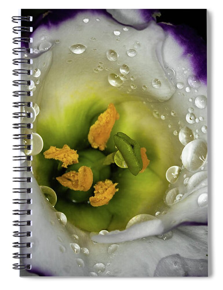 Jay Stockhaus Spiral Notebook featuring the photograph Deep Inside #1 by Jay Stockhaus