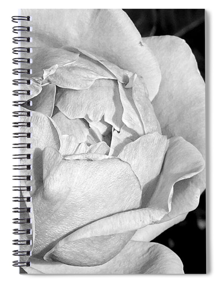 Detail Spiral Notebook featuring the photograph Detail #1 by Dark Whimsy