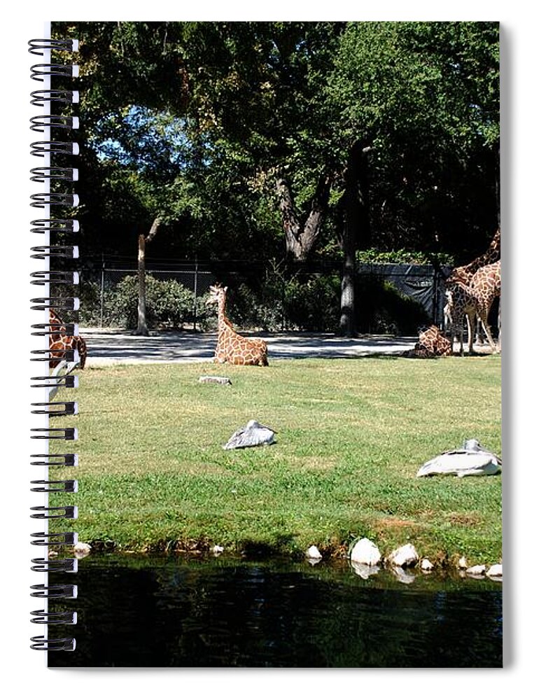 Ft. Worth Spiral Notebook featuring the photograph Easy Sunday Afternoon #1 by Kenny Glover
