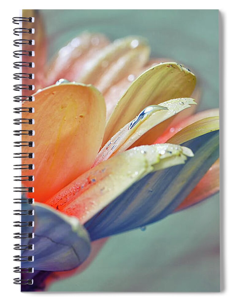 Plant Spiral Notebook featuring the photograph Elegance #1 by Stelios Kleanthous