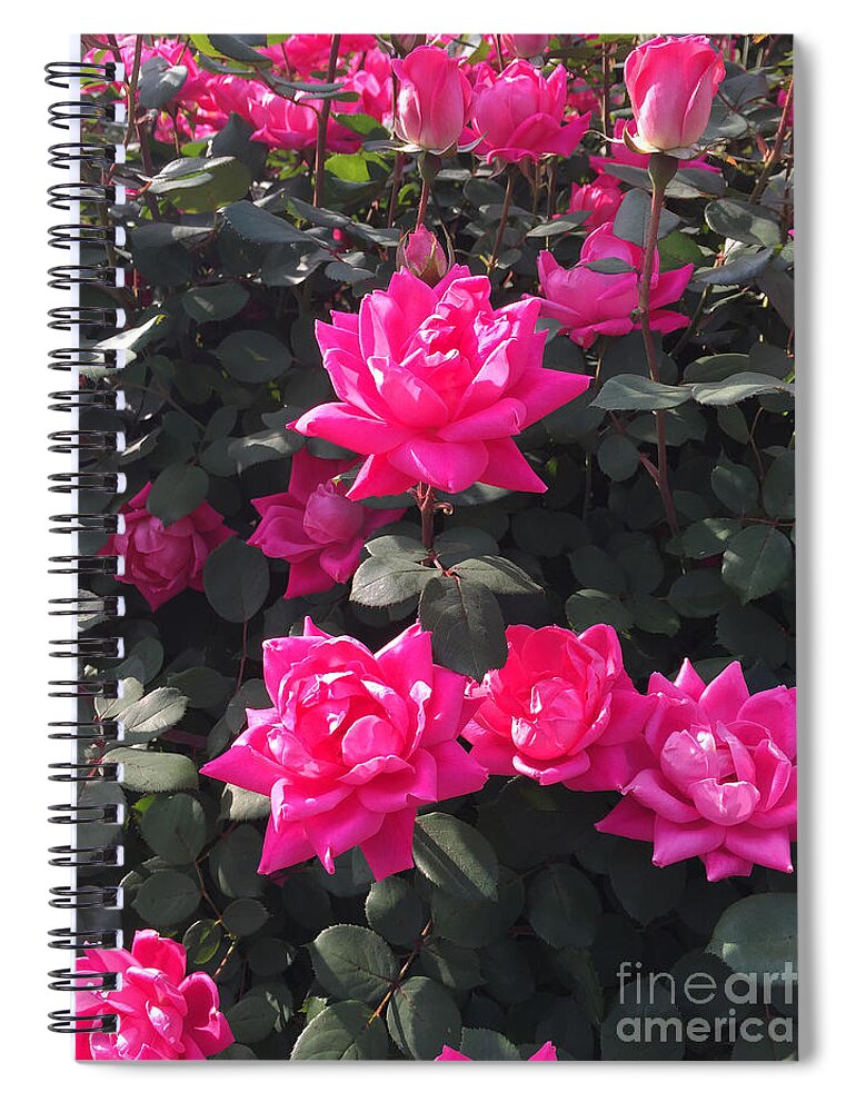 Rose Spiral Notebook featuring the photograph Enjoy The Simple Moments #3 by Matthew Seufer