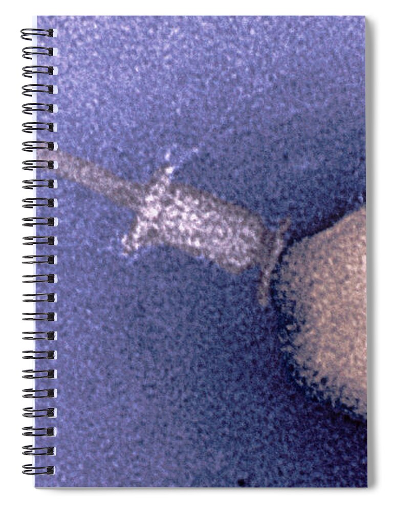 Medical Spiral Notebook featuring the photograph Enterobacteria Phage T4 Tem #1 by Scimat