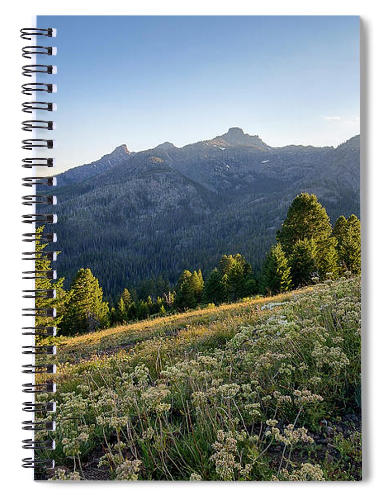 Idaho Spiral Notebook featuring the photograph Evening Light #1 by Idaho Scenic Images Linda Lantzy
