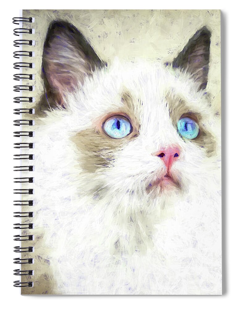 Kitty Spiral Notebook featuring the photograph Ever Watchful #1 by Jennifer Grossnickle