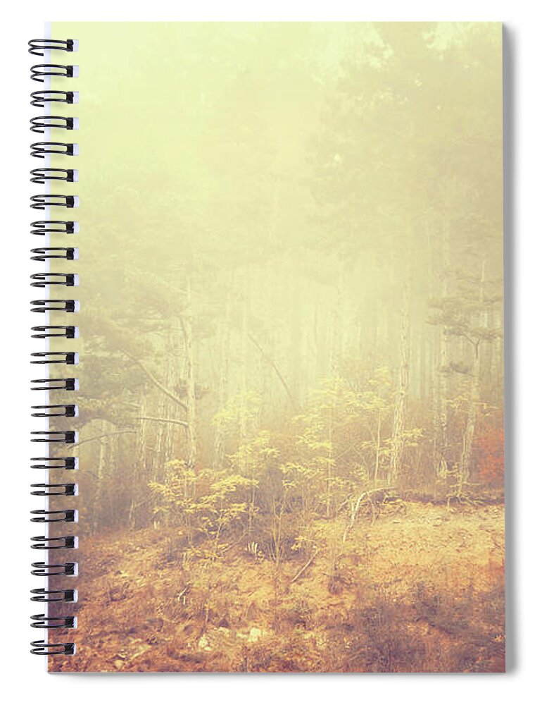 Jenny Rainbow Fine Art Photography Spiral Notebook featuring the photograph Fairy Woods #2 by Jenny Rainbow