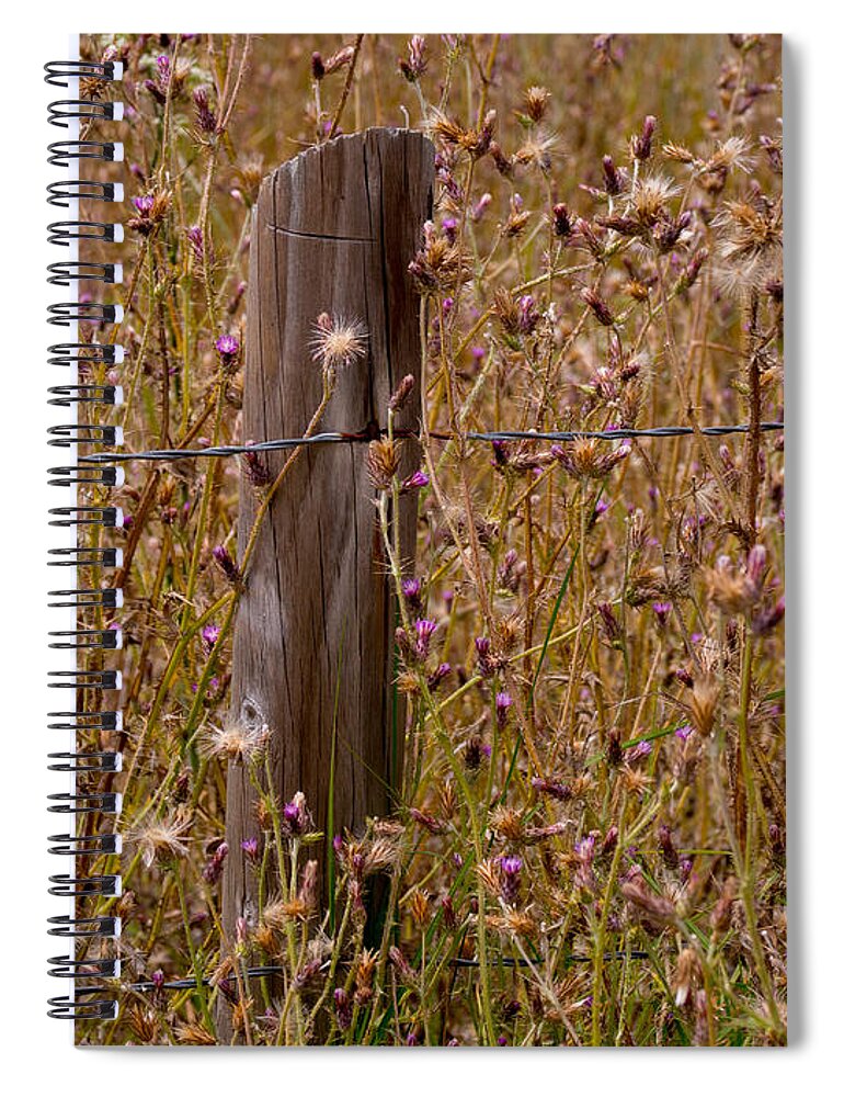 Fence Spiral Notebook featuring the photograph Fenced In by Derek Dean