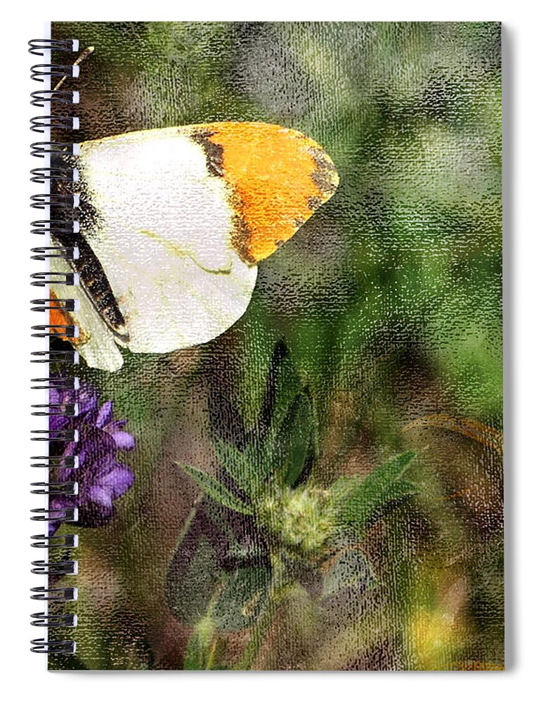 Butterfly Spiral Notebook featuring the photograph Field Trip 1 by Ed Hall