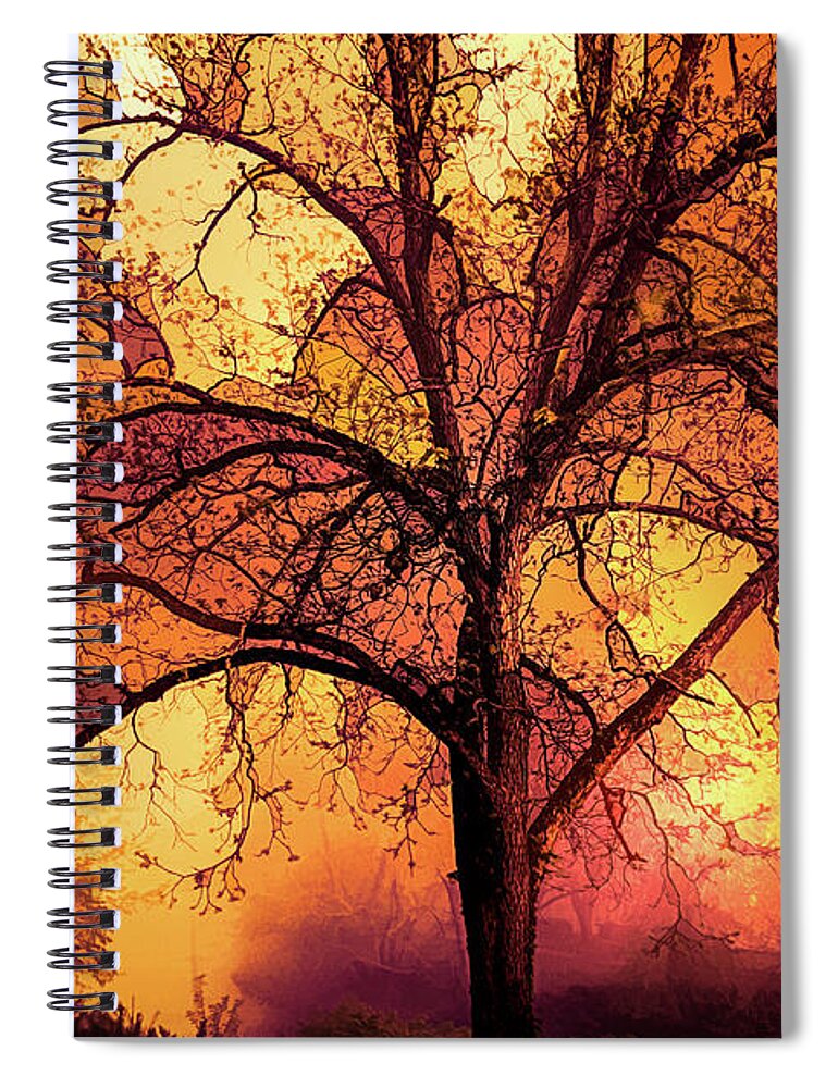 Appalachia Spiral Notebook featuring the photograph Fire in the Trees #1 by Debra and Dave Vanderlaan