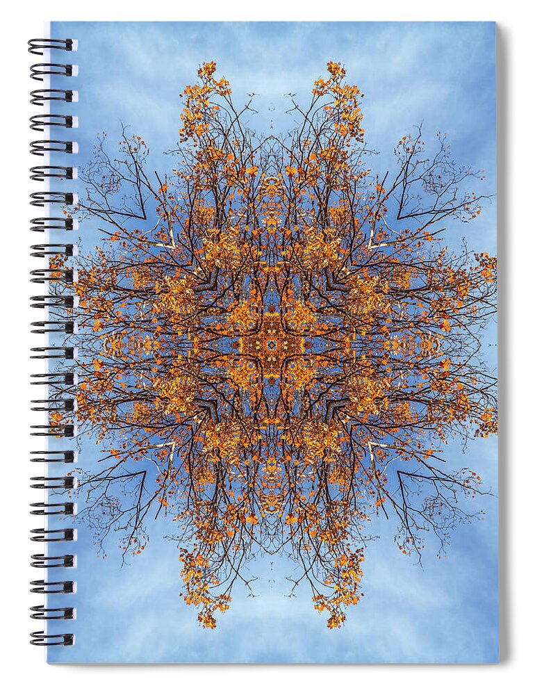 Foliage Kaleidoscope Spiral Notebook featuring the photograph Foliage and sky kaleidoscope #1 by Lilia S