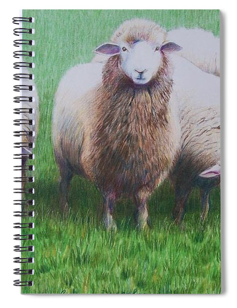 Sheep Spiral Notebook featuring the mixed media Friends by Constance Drescher