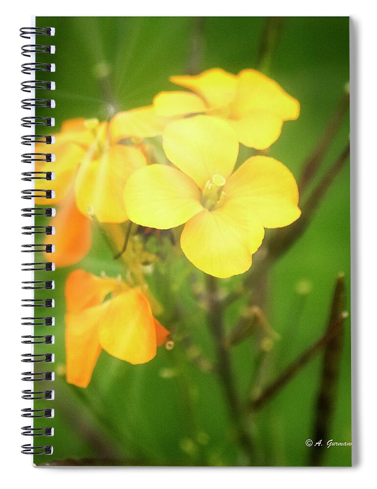 Geranium Flowers Spiral Notebook featuring the photograph Geranium Flowers #1 by A Macarthur Gurmankin