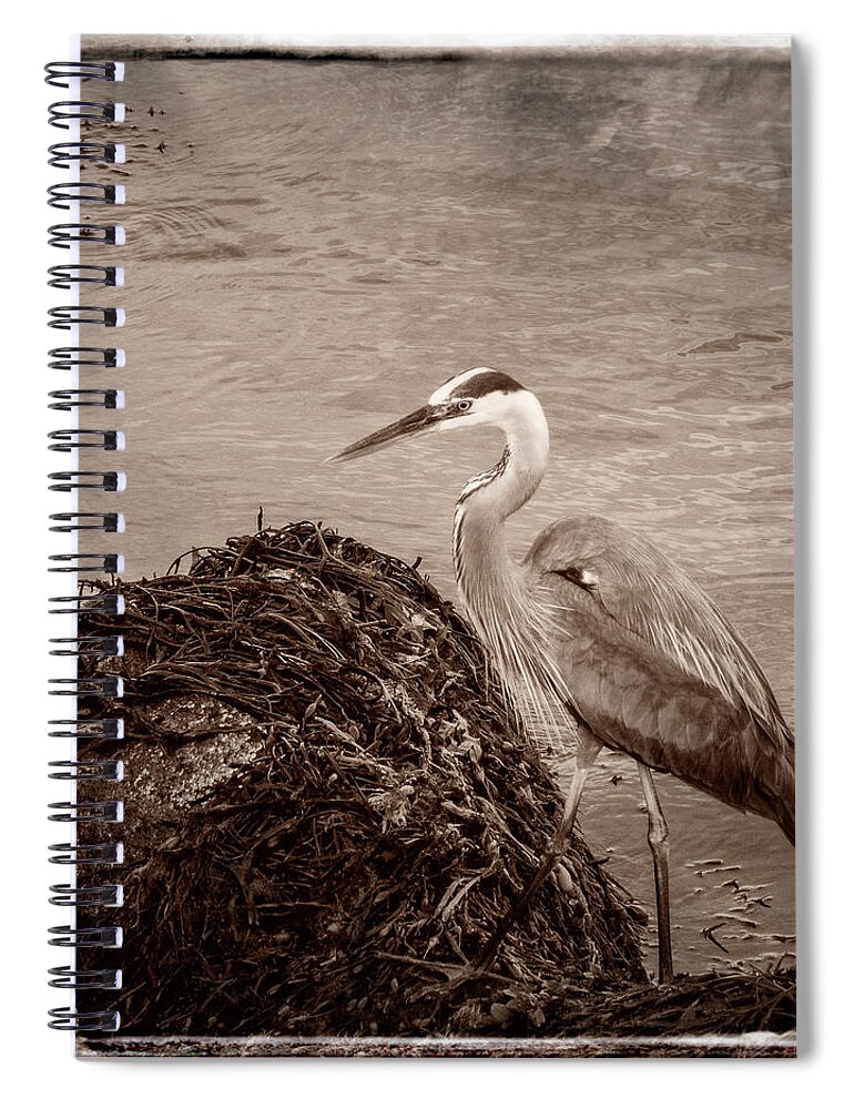 Baril Spiral Notebook featuring the photograph Great Blue Heron #1 by Frank Winters