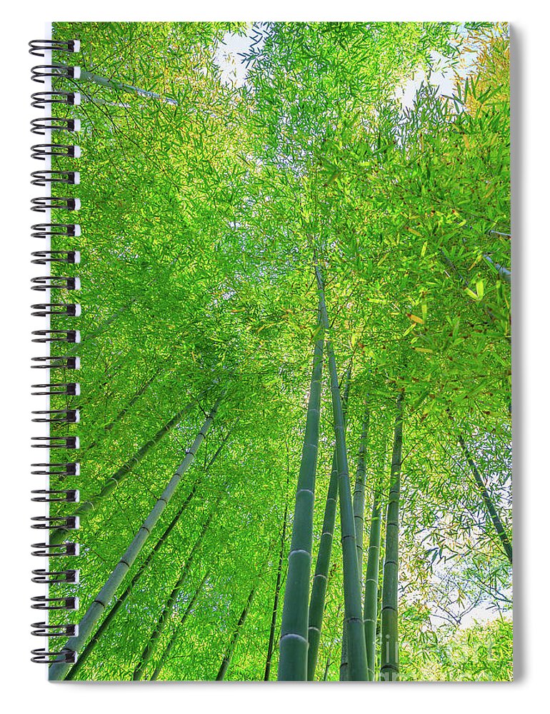Bamboo Background Spiral Notebook featuring the photograph Green bamboo background #1 by Benny Marty