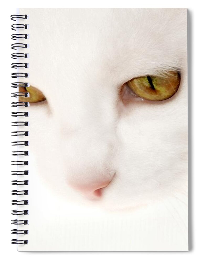 Cat Portraits Spiral Notebook featuring the photograph Heavenly Angel by Angie Tirado