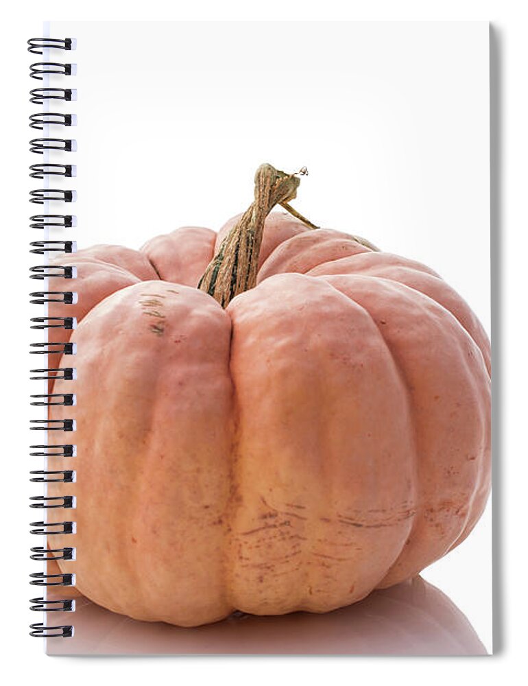 Big Spiral Notebook featuring the photograph Heirloom Pumpkin #1 by Juli Scalzi