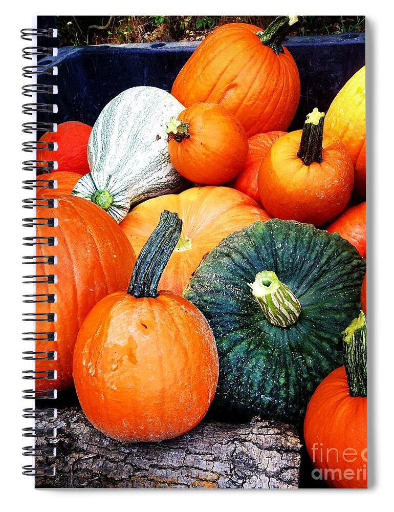 Pumpkin Spiral Notebook featuring the photograph Heirloom Pumpkins #2 by Angela Rath
