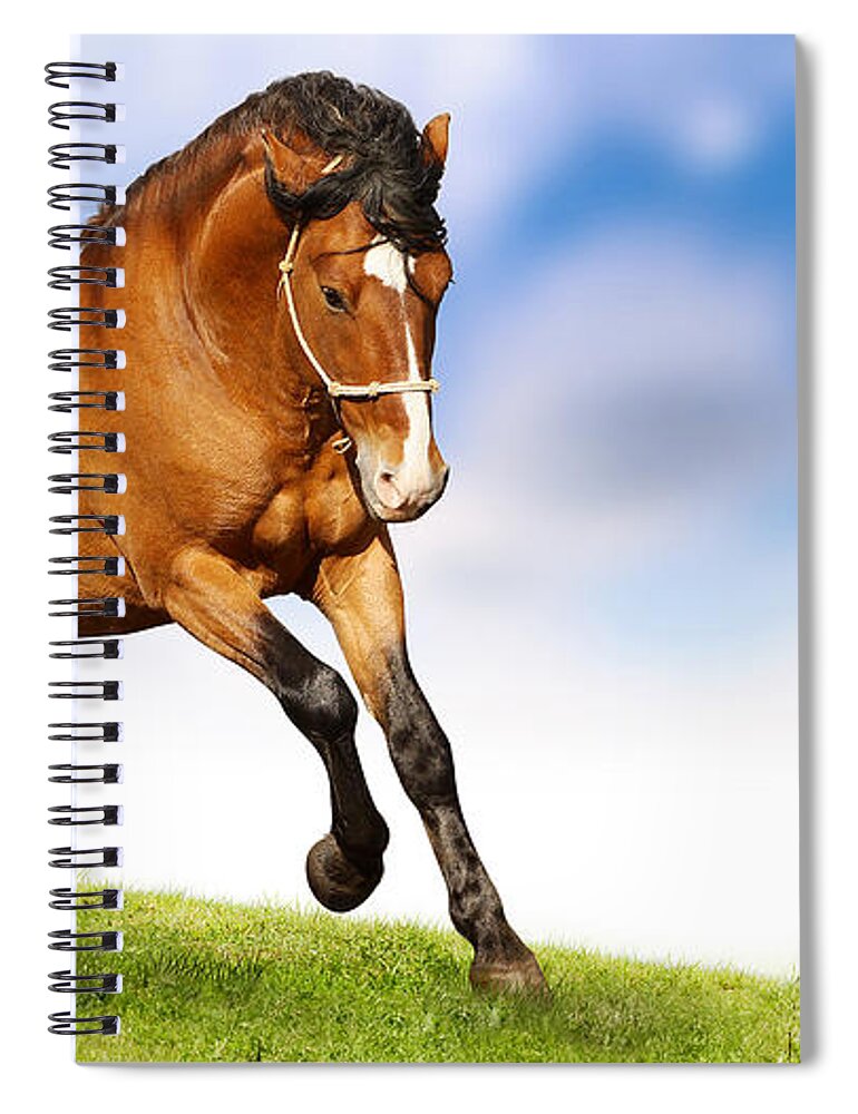 Horse Spiral Notebook featuring the photograph Horse #1 by Jackie Russo