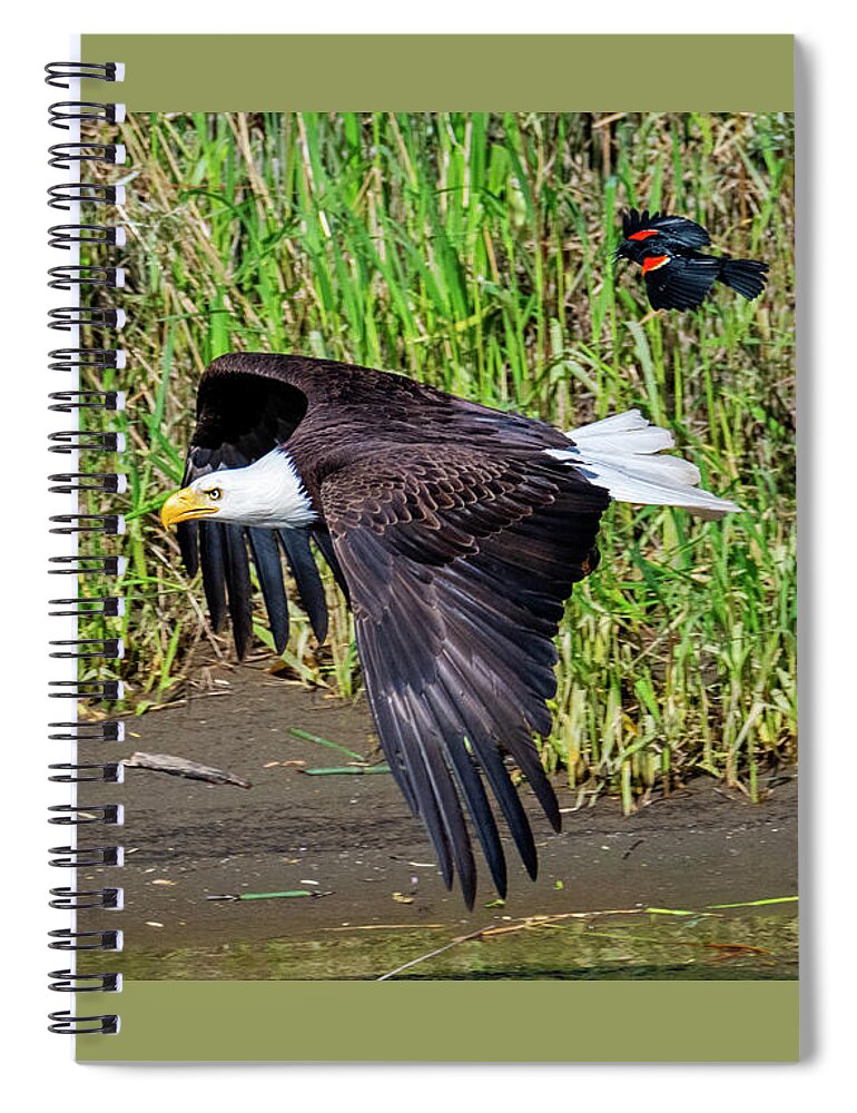 Bald Eagle Spiral Notebook featuring the photograph Hot Pursuit #2 by Michael Dawson