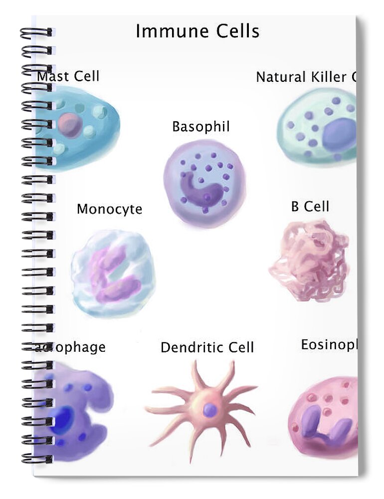 Immune Cells Spiral Notebook featuring the photograph Immune Cells, Illustration #1 by Spencer Sutton