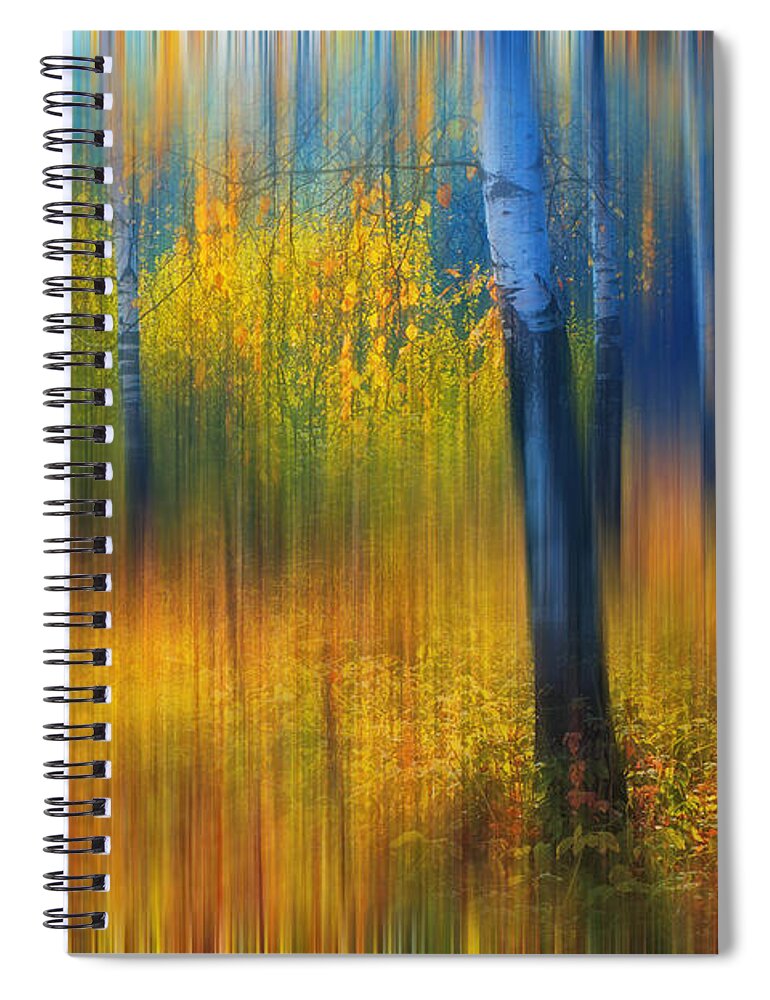 Autumn Spiral Notebook featuring the photograph In the Golden Woods. Impressionism by Jenny Rainbow